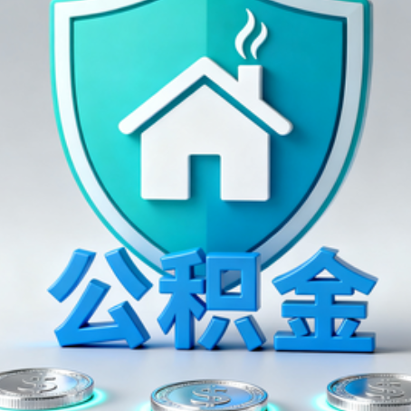 三亚公积金代办行业观察：谁在提供专业服务？